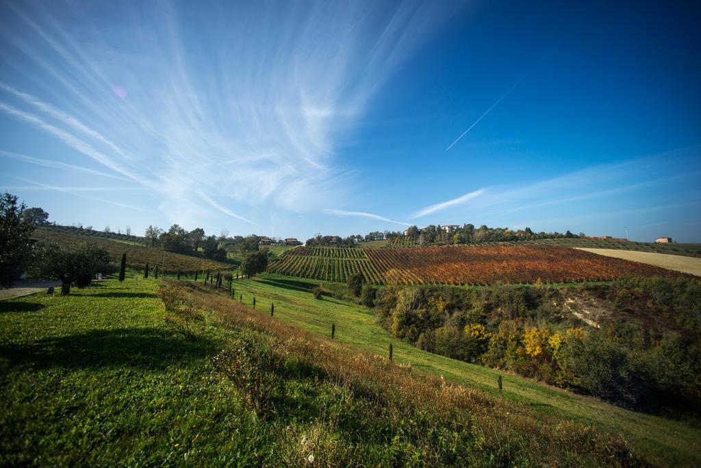 Agriturismo Acetaia Sereni Marano sul Panaro Exteriér fotografie