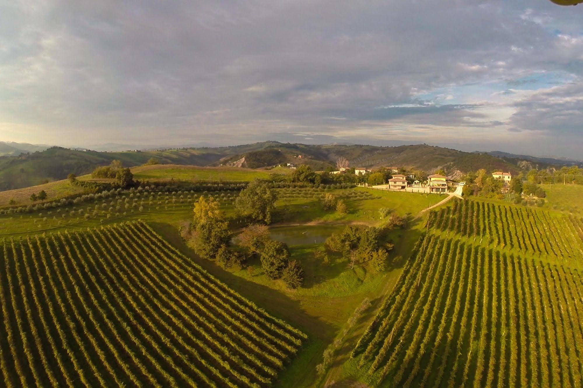 Agriturismo Acetaia Sereni Marano sul Panaro Exteriér fotografie